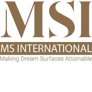 MS International