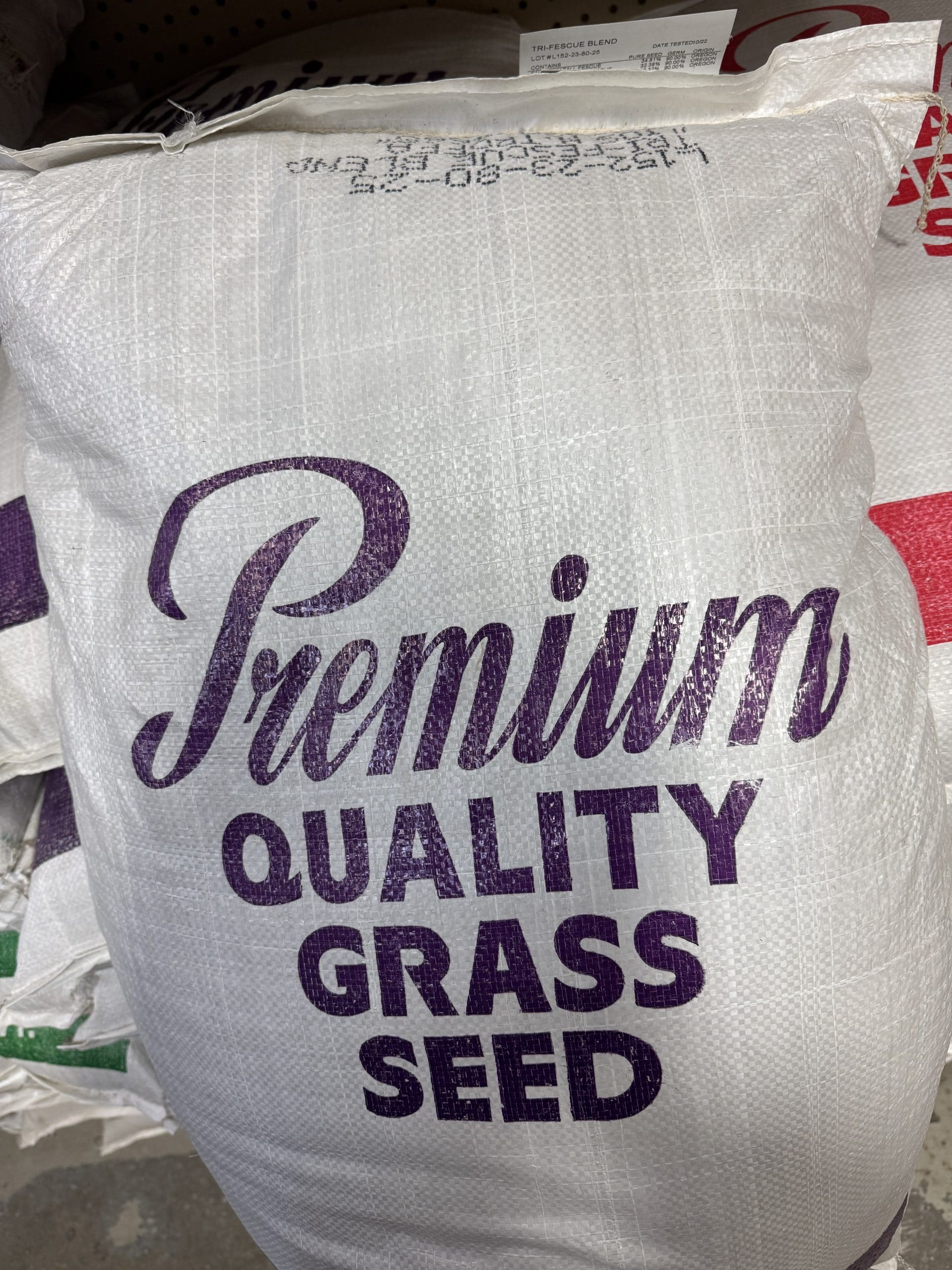 Alliance - Tri-Fescue Blend