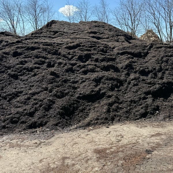 compost Compost