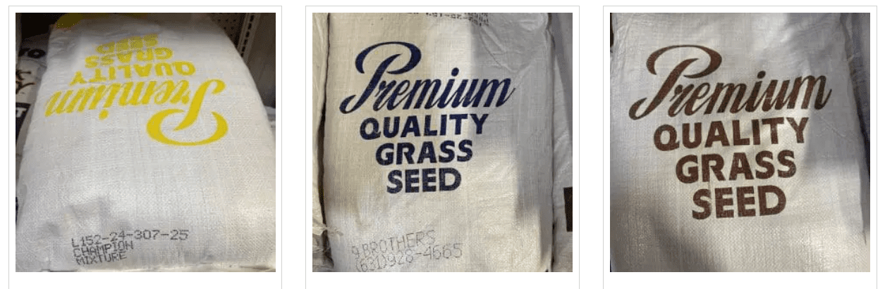 Grass Seeds